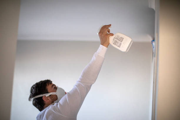 Crawl Space Mold Removal in Laureles, TX