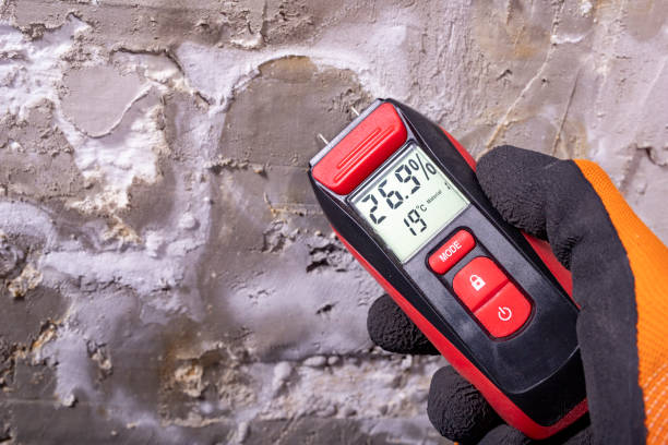 Best Crawl Space Mold Removal  in Laureles, TX