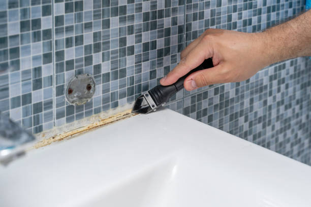 Best Certified Mold Removal  in Laureles, TX