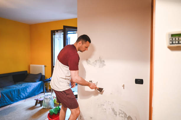 Best Toxic Mold Removal  in Laureles, TX